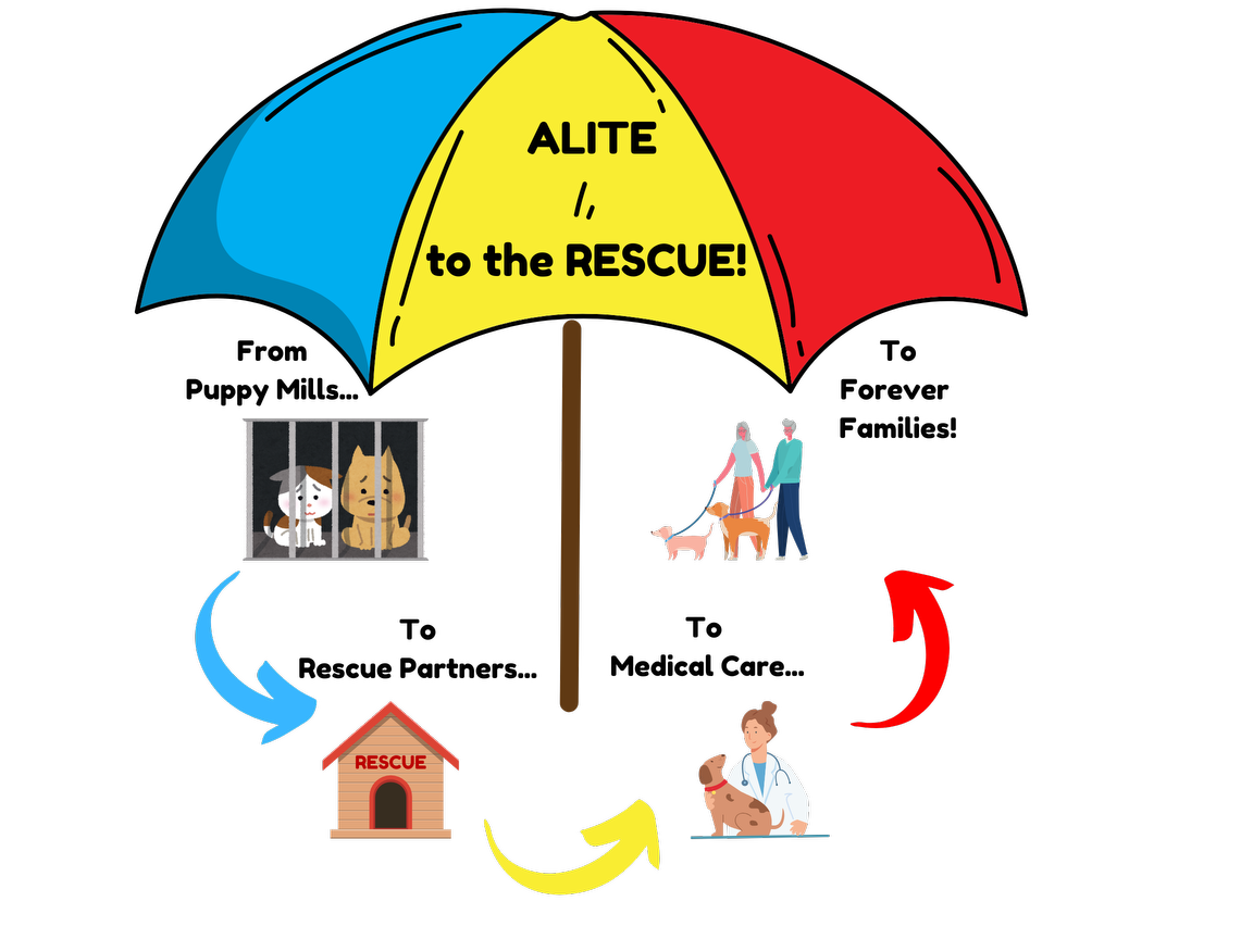 Thank you to everyone who supported our Alite to the Rescue Fundraiser ...